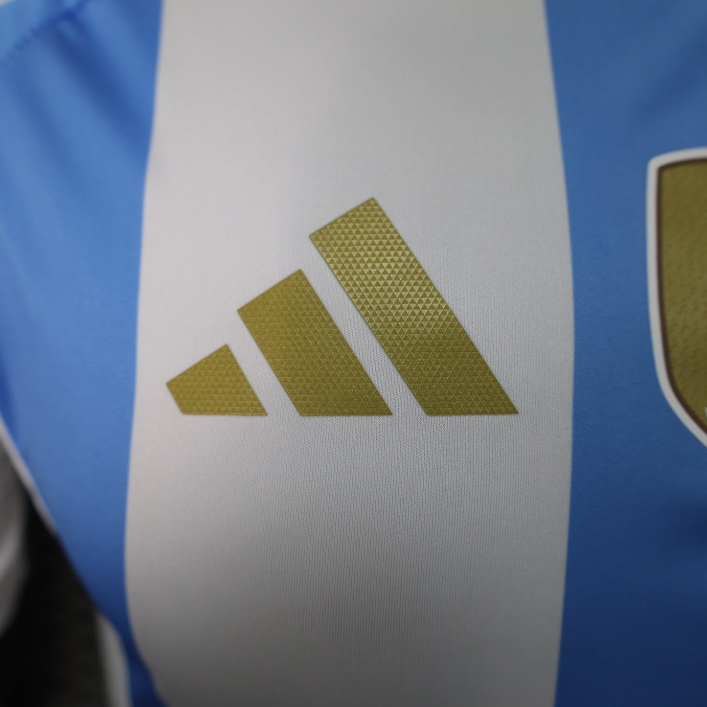 Argentina 2024 Home