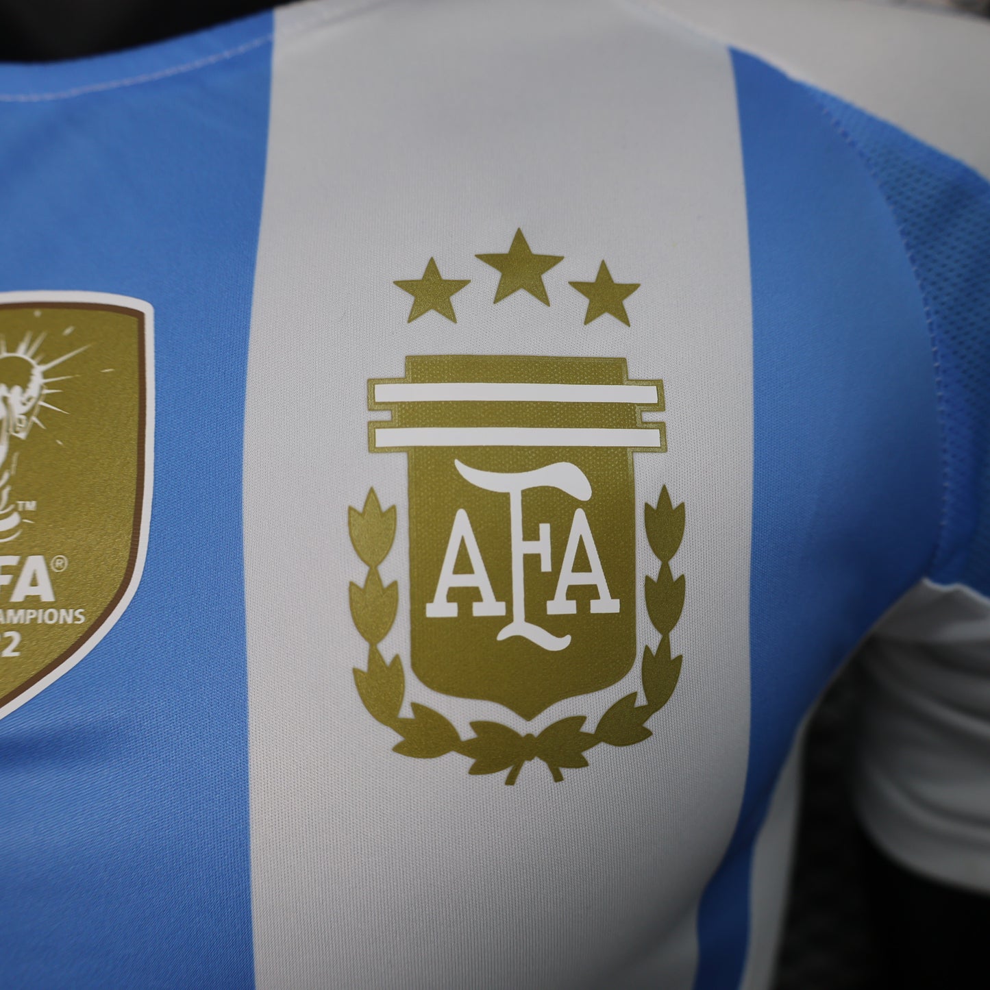 Argentina 2024 Home