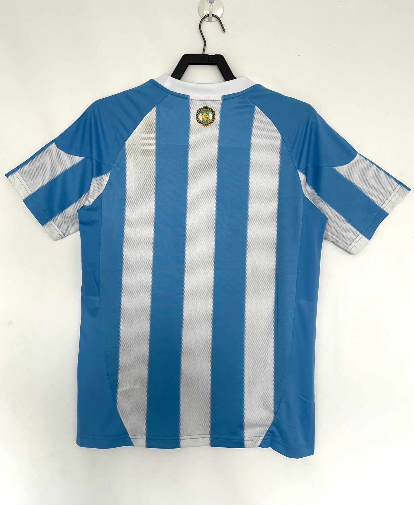 Argentina 2010 Home