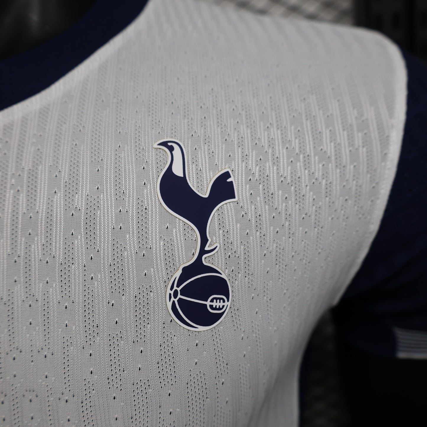 Tottenham Hotspur 2024/25 Home