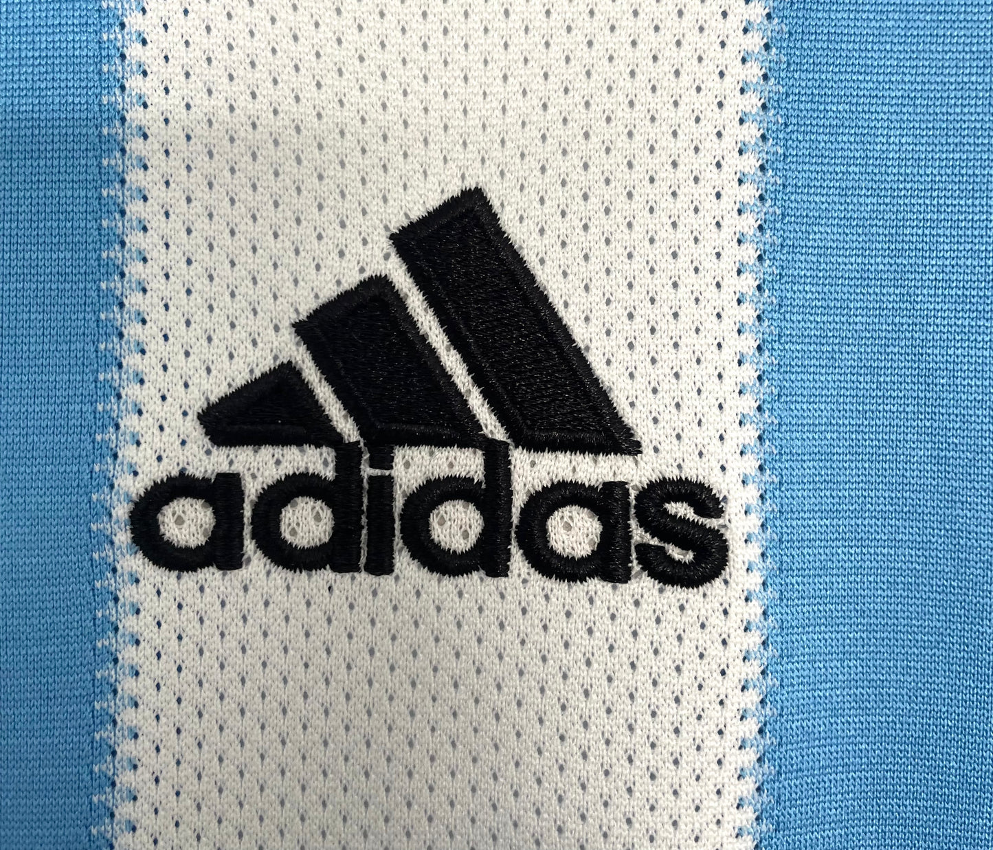 Argentina 2010 Home