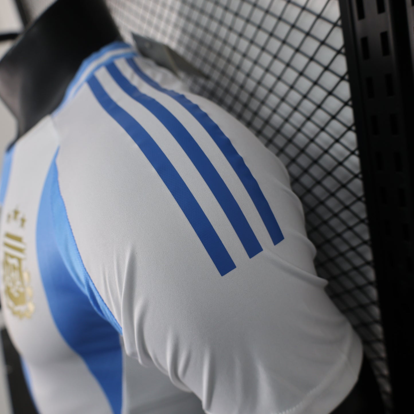 Argentina 2024 Home