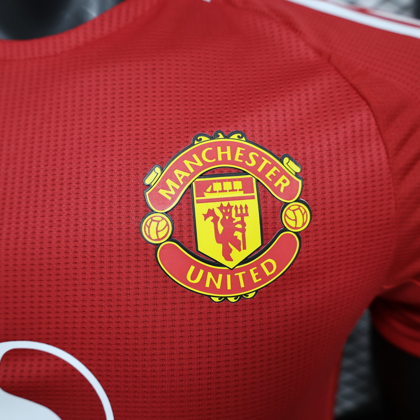 Manchester United 2024/25 Home