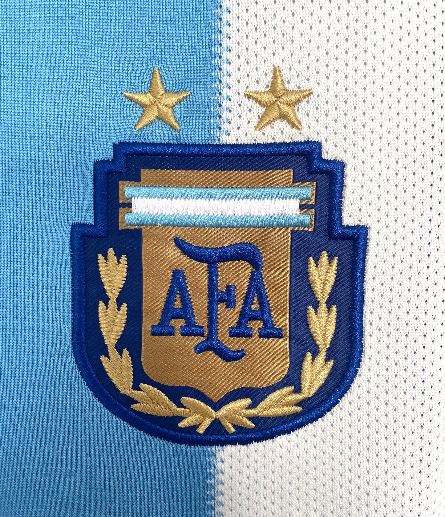 Argentina 2010 Home